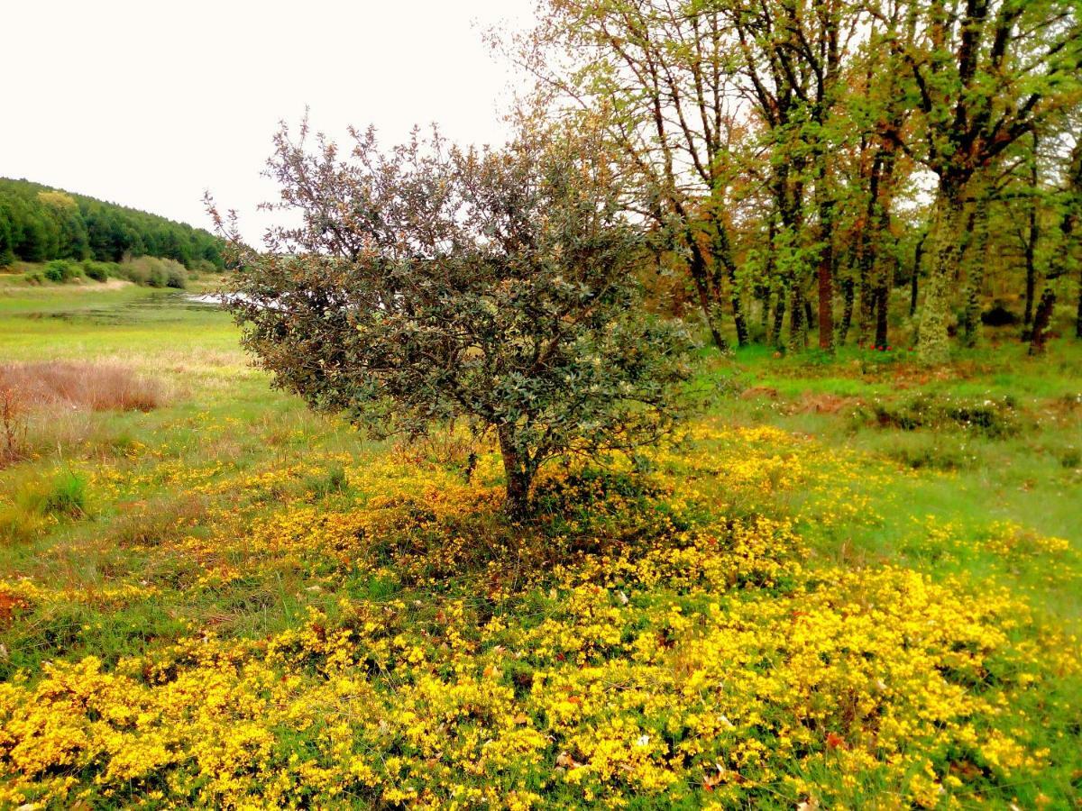 Casa Rural Lamadretierra Villamejil Εξωτερικό φωτογραφία